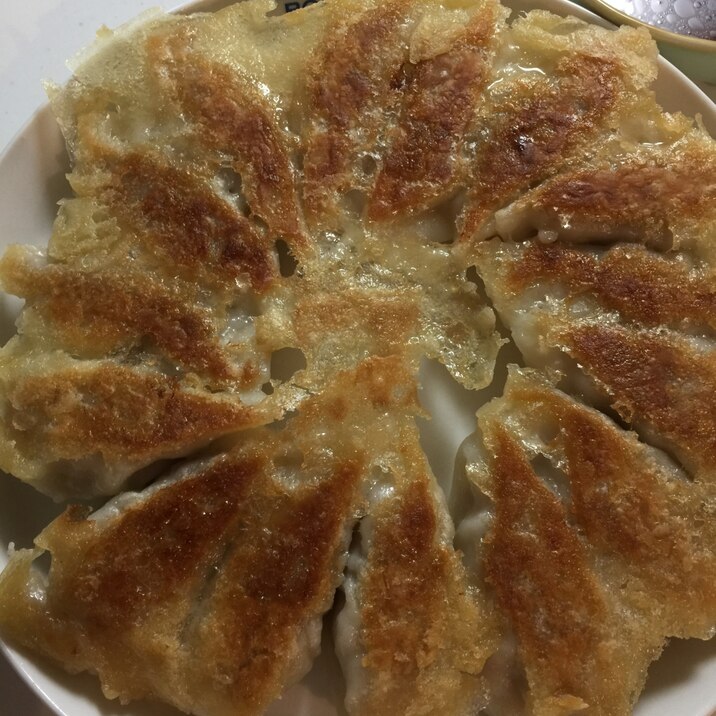 １度食べたら止まらない♡本格焼き餃子